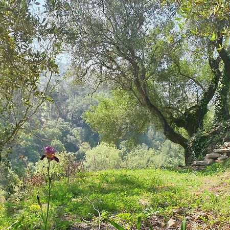 Casa Das Janelinhas - Cottage Near Sintra, Mafra, Ericeira Eksteriør bilde