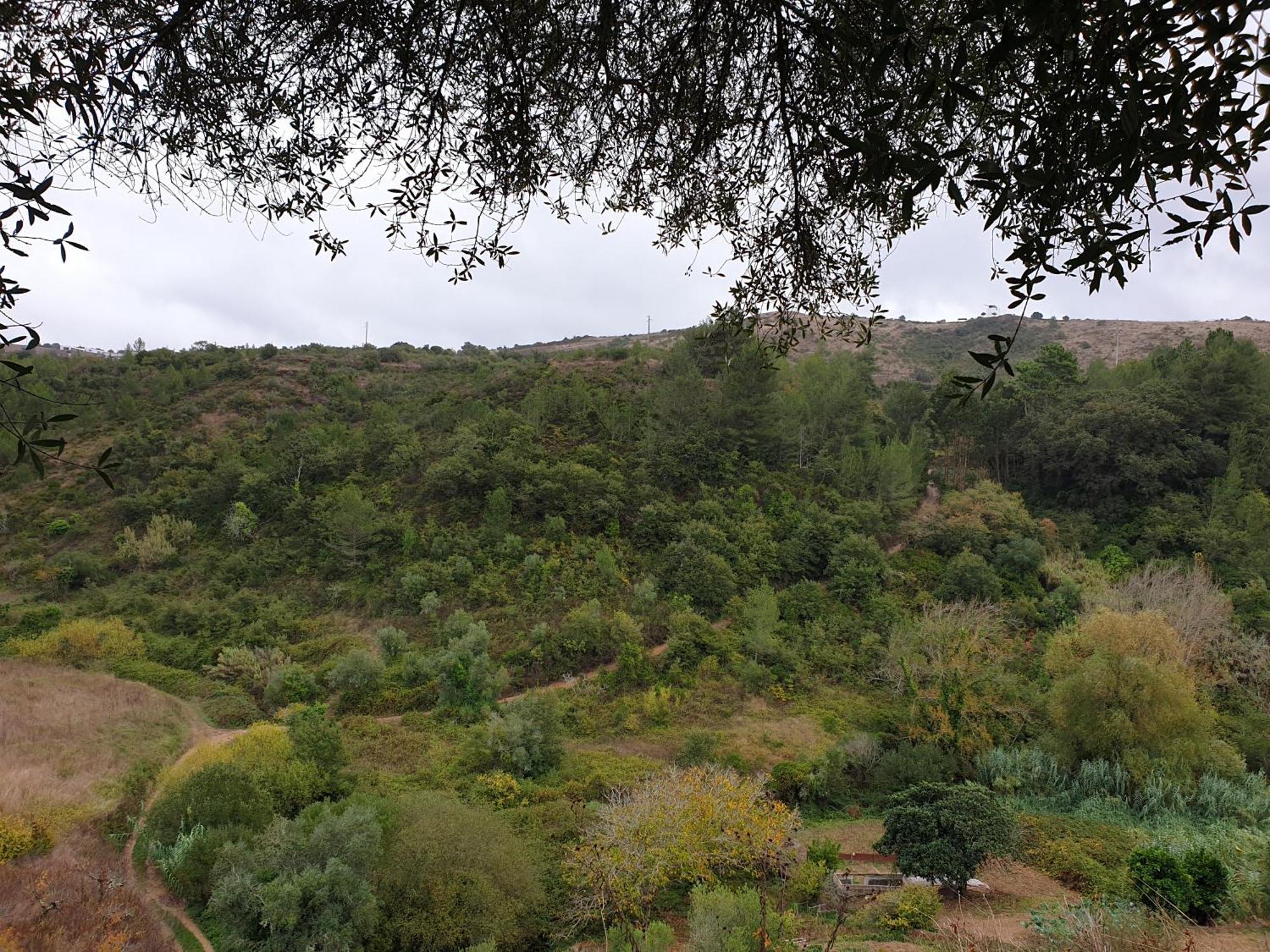 Casa Das Janelinhas - Cottage Near Sintra, Mafra, Ericeira Eksteriør bilde
